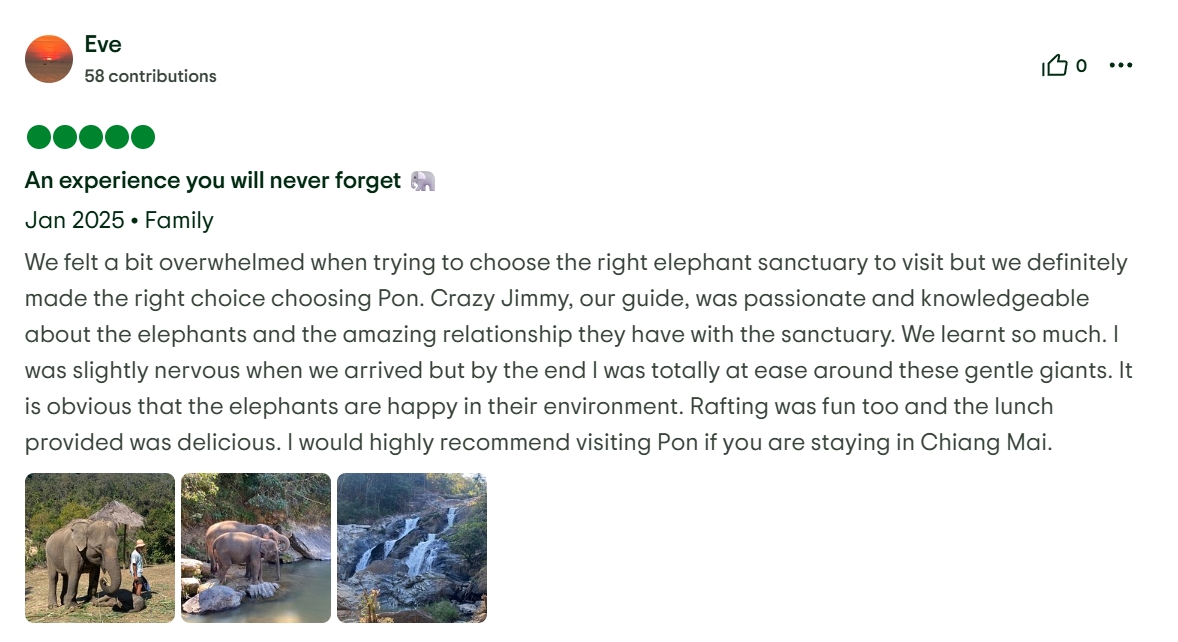 pon elephpant chiangmai thailand reviews